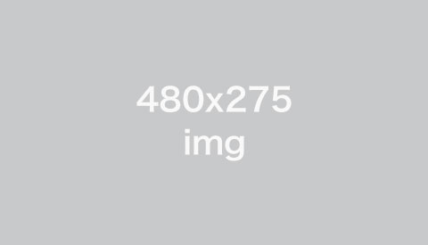 img-480x275.jpg
